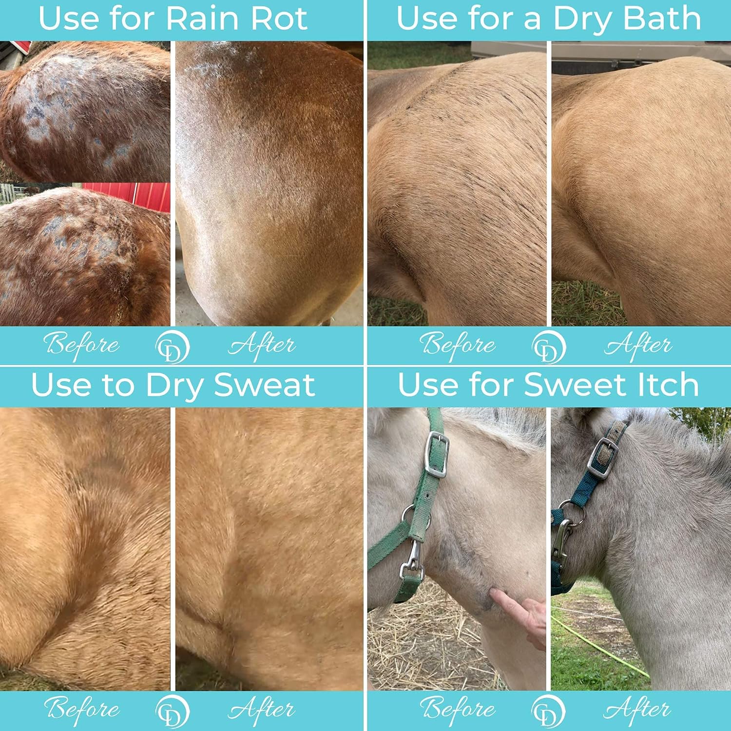 COAT DEFENSE Daily Preventative Powder & Rain Rot Treatment for Horses | Safe & Effective Equine Sweet Itch, Skin Funk, Scratches | Dry Horse Shampoo, 64 oz. | All Natural Ingredients