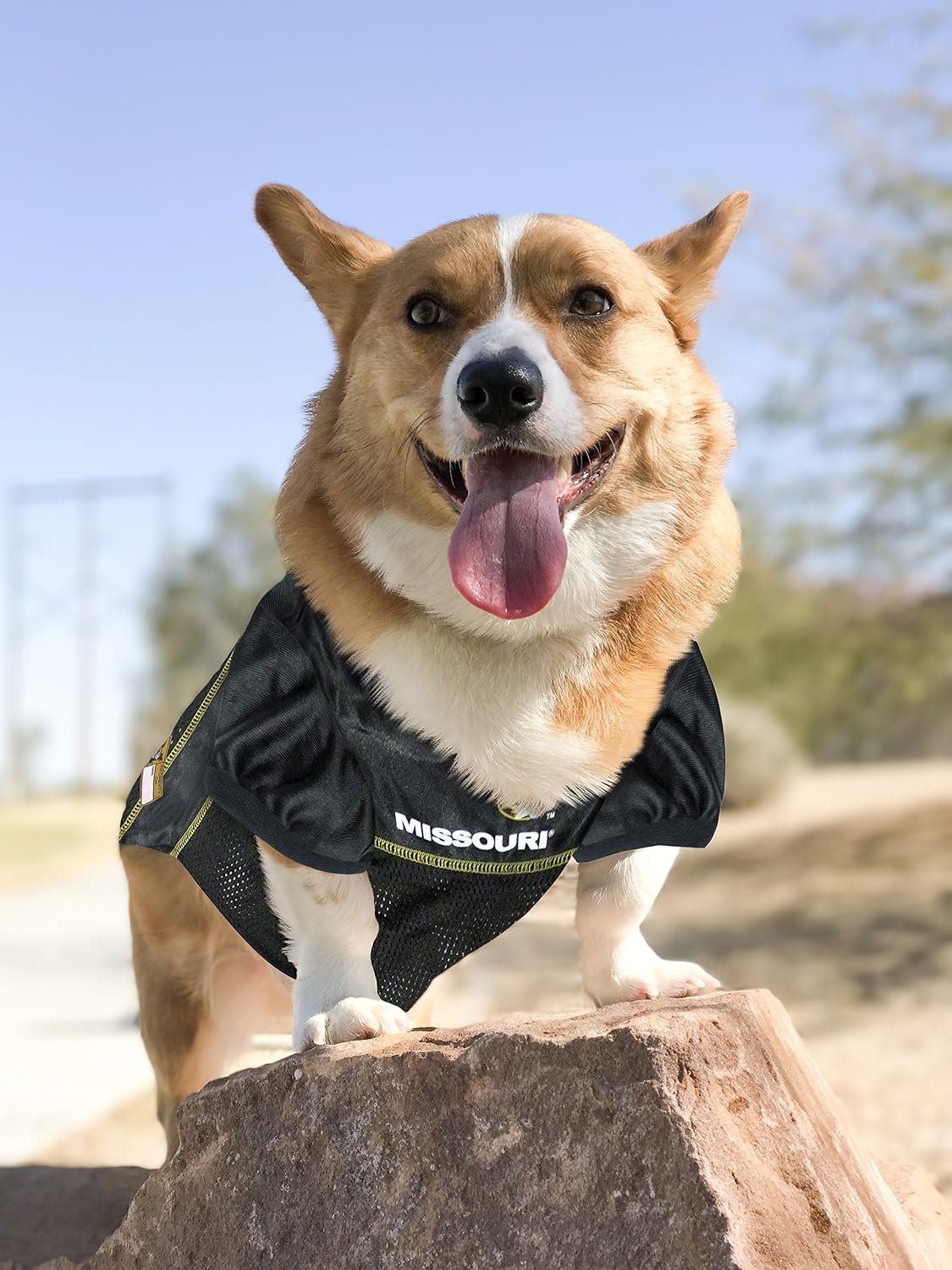 Pets First NCAA PET Apparels - Basketball Jerseys, Football Jerseys for Dogs & Cats Available in 50+ Collegiate Teams & 7 Sizes