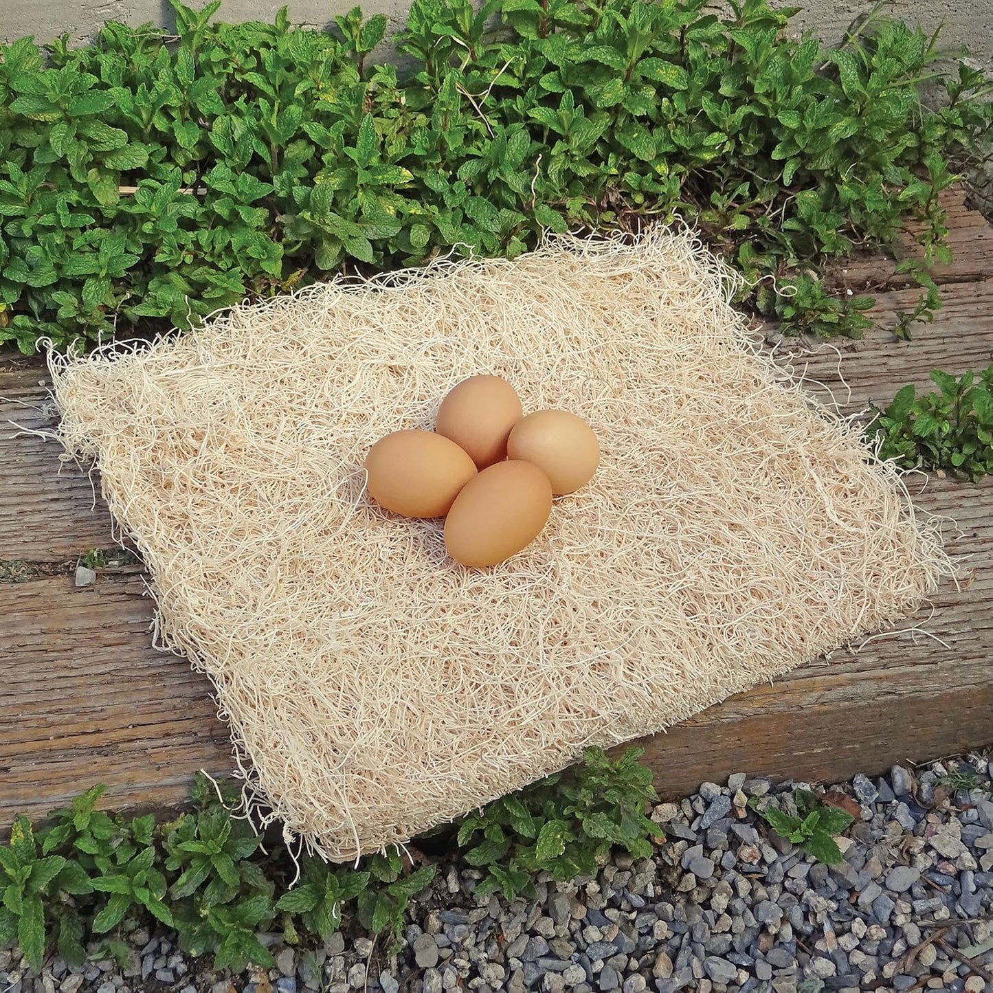 PRECISION PET Chicken Nesting Pads by Petmate, 13" x 13", 10 Pack, Beige | Made in USA, fits most standard coop boxes, soft comfortable bedding for hens, easy replacement liner helps keep eggs clean