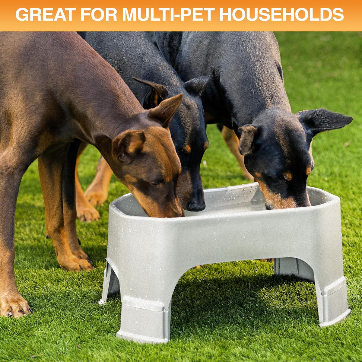 Neater Pet Brands Extra Large Water Bowl for Dogs, Elevated Outdoor Dog Water Bowl (2.25 Gallon XL Capacity), Big Trough Style Food Dish for Indoors or Outside, No Spill Large Dog Bowls, Vanilla Bean
