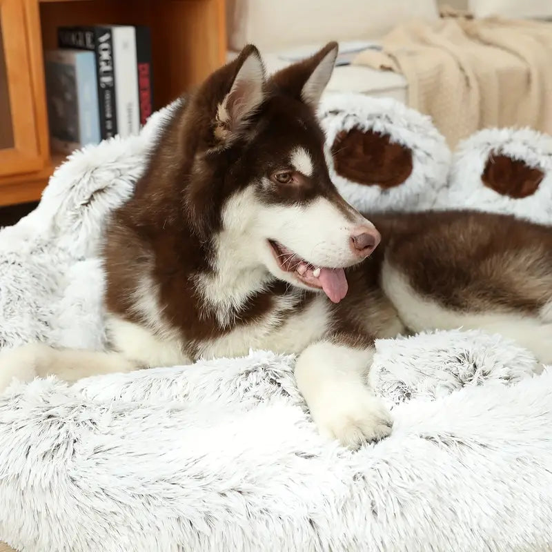 Axel | Hundebett