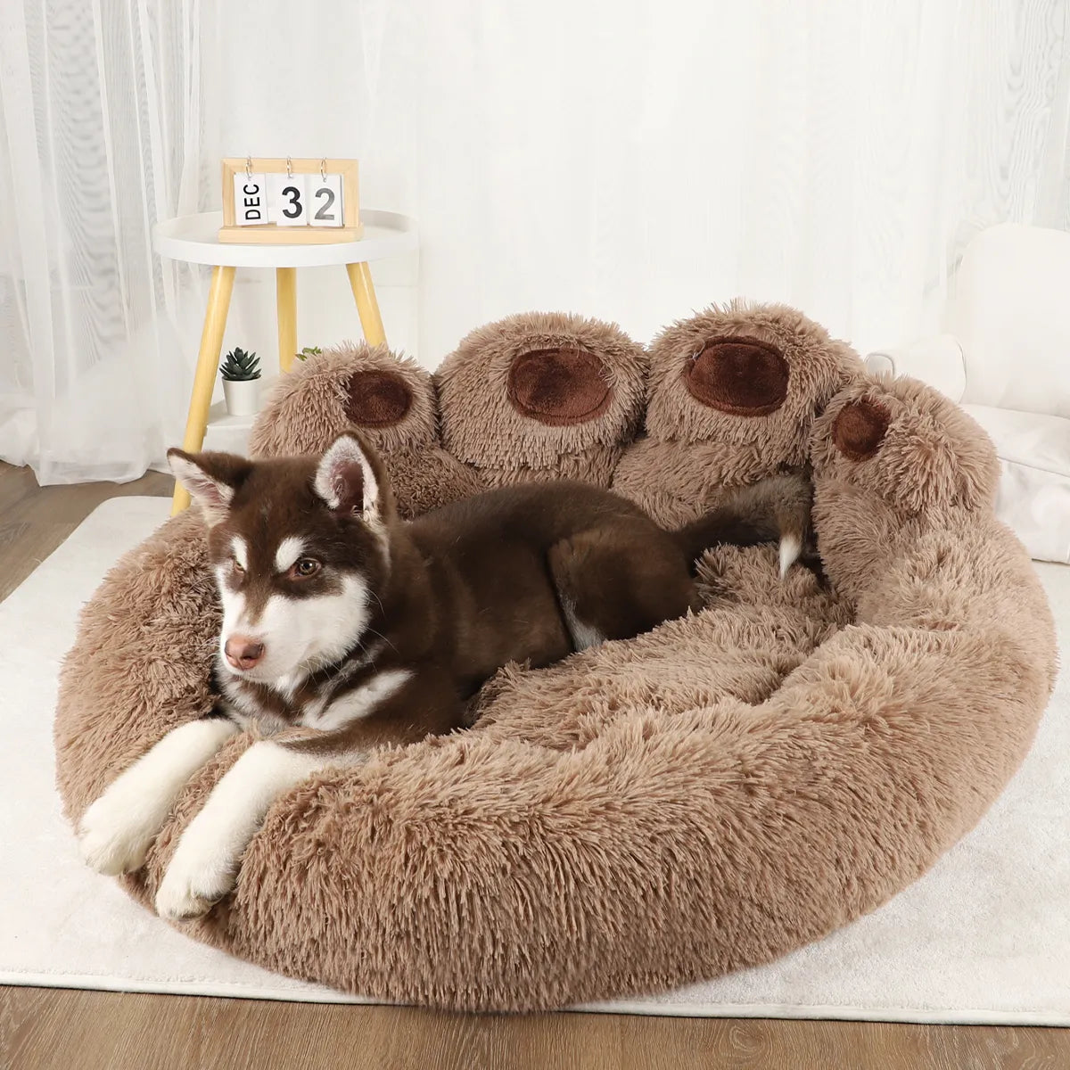 Axel | Hundebett