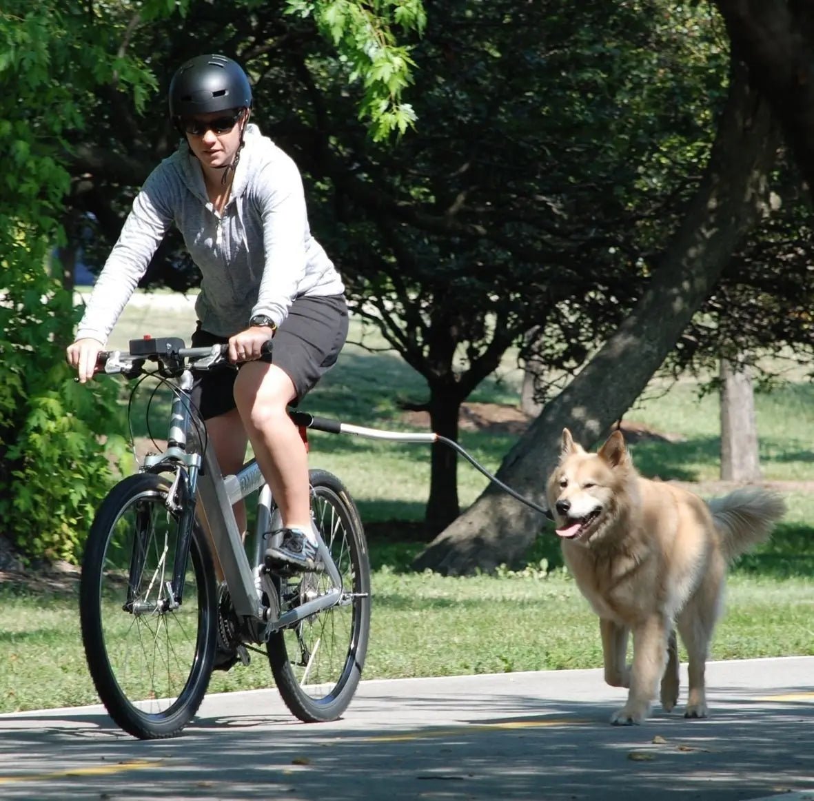 Bicycle Dog Leash with Elastic Shock Absorption – Durable Metal Attachment for Safe Rides
