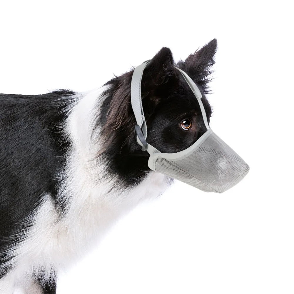 Breathable Soft Mesh Dog Muzzle – Lightweight Adjustable Basket Muzzle for Small Dogs, Comfortable and Durable Design