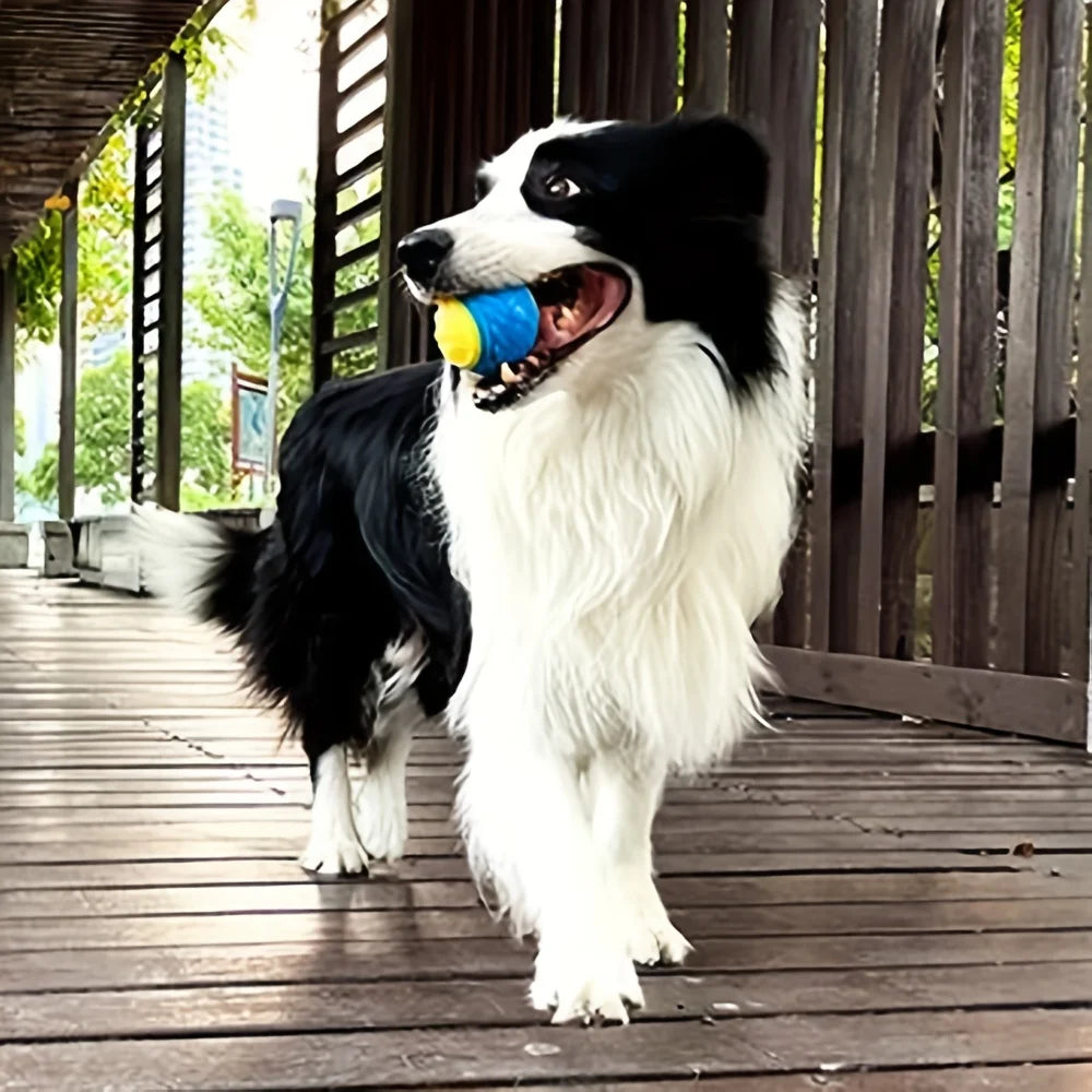 Dog Chew Ball Toy Drinding Teeth Bite-resistant Silicone Ball Puppy Toy Squeaky Teeth Cleaning Training Dog Toy Supplies