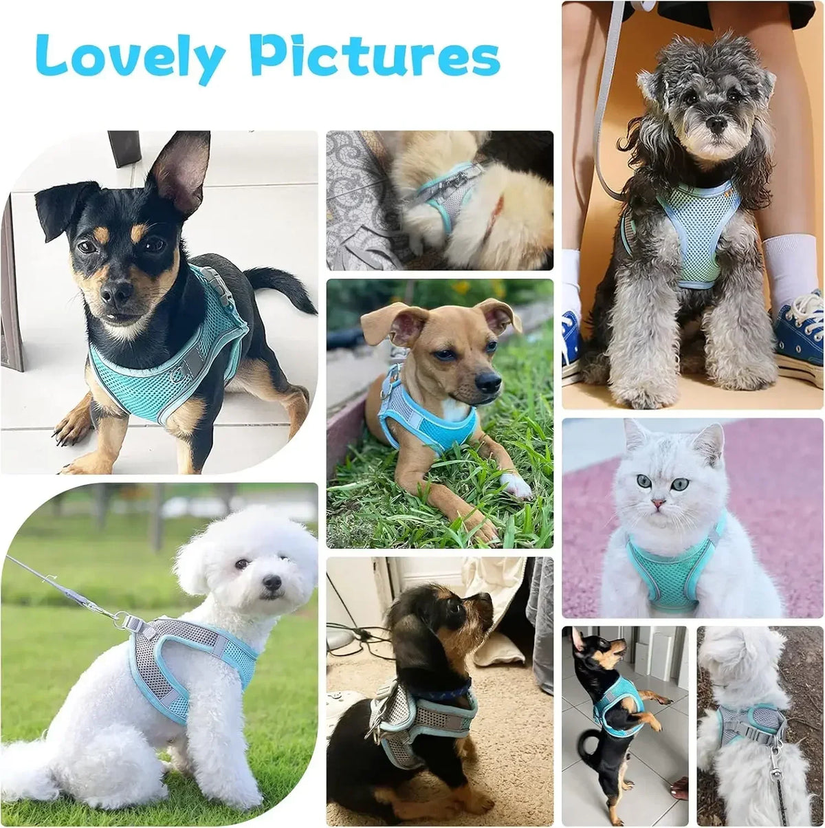Cat Dog Harness Vest Chest Rope Set Reflective Breathable Adjustable Pet Harness for Small Medium Dogs Outdoor Walking
