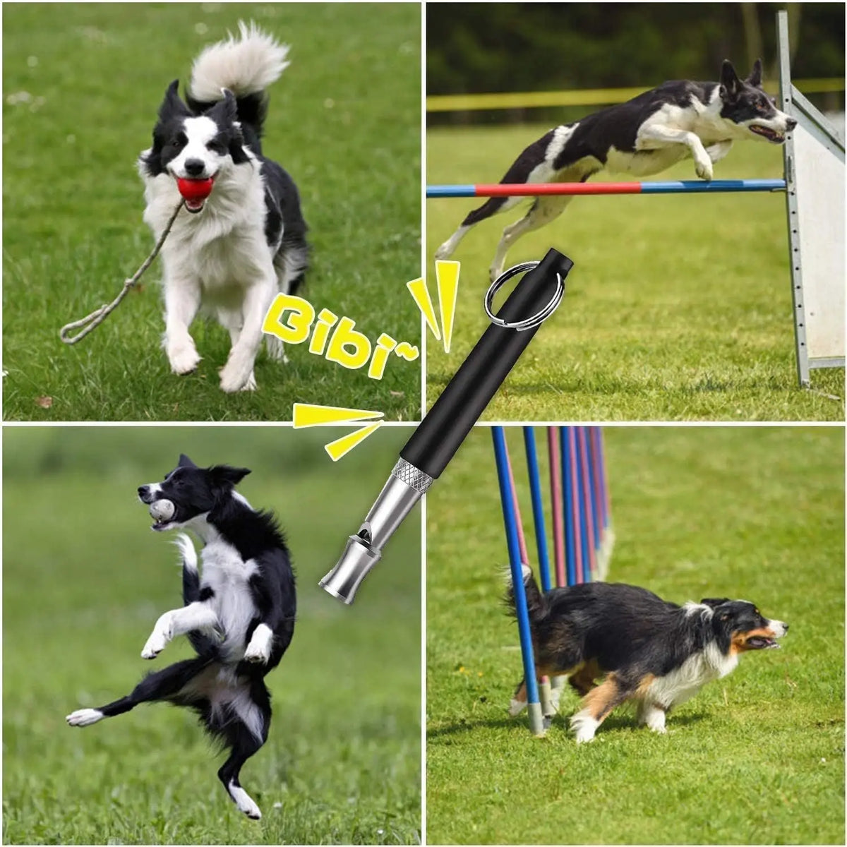1pc Dog Training Whistle, Pigeon Training Whistle, Used To Stop Dog Barking Training Deterrent, Dog Whistle Training Stop Barkin