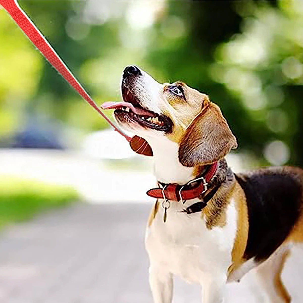 Pet Dog Training Leash Walking Belt Long Lanyard Dog Walking Protection Rope Suitable For Small And Large Dogs 1.5/3/5/6M Leash