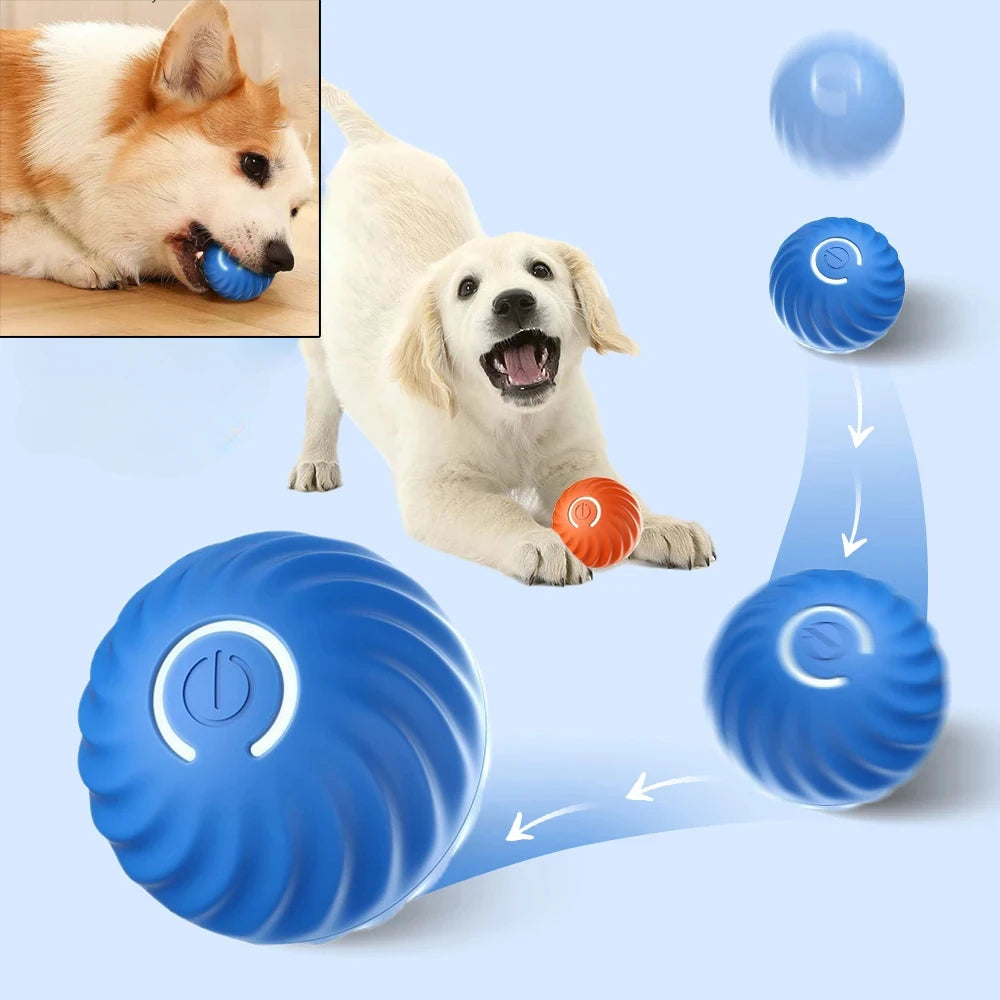 1pcs Dog Toys Intelligent Gravity Jump Ball Rechargeable Bite-Resistant Rolling Ball Cat And Dog Chase Interactive Pet Toys