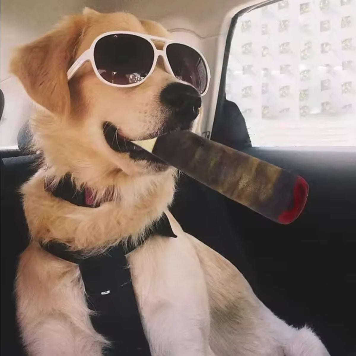 Plush Squeaky Toys for Medium, Small and Large - Cool Stuffed Cute Gifts for Dog Birthday Dog Joint Toys Funny Interactive