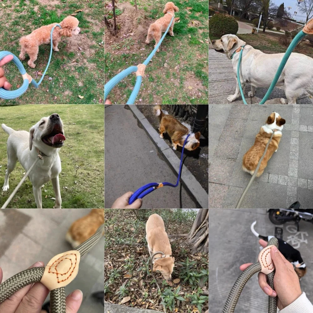 Premium Braided Adjustable Slip Lead Leash for Training & Control