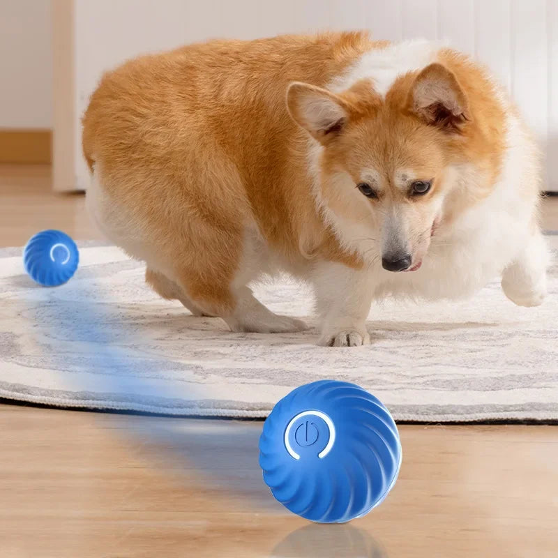 1pcs Dog Toys Intelligent Gravity Jump Ball Rechargeable Bite-Resistant Rolling Ball Cat And Dog Chase Interactive Pet Toys