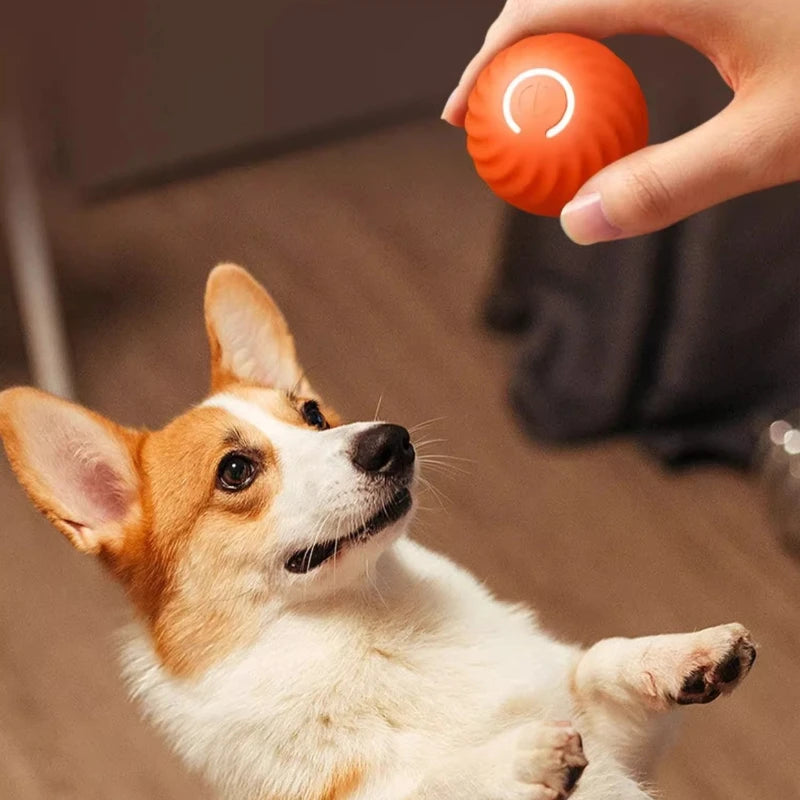 1pcs Dog Toys Intelligent Gravity Jump Ball Rechargeable Bite-Resistant Rolling Ball Cat And Dog Chase Interactive Pet Toys