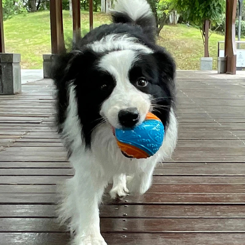 Dog Chew Ball Toy Drinding Teeth Bite-resistant Silicone Ball Puppy Toy Squeaky Teeth Cleaning Training Dog Toy Supplies