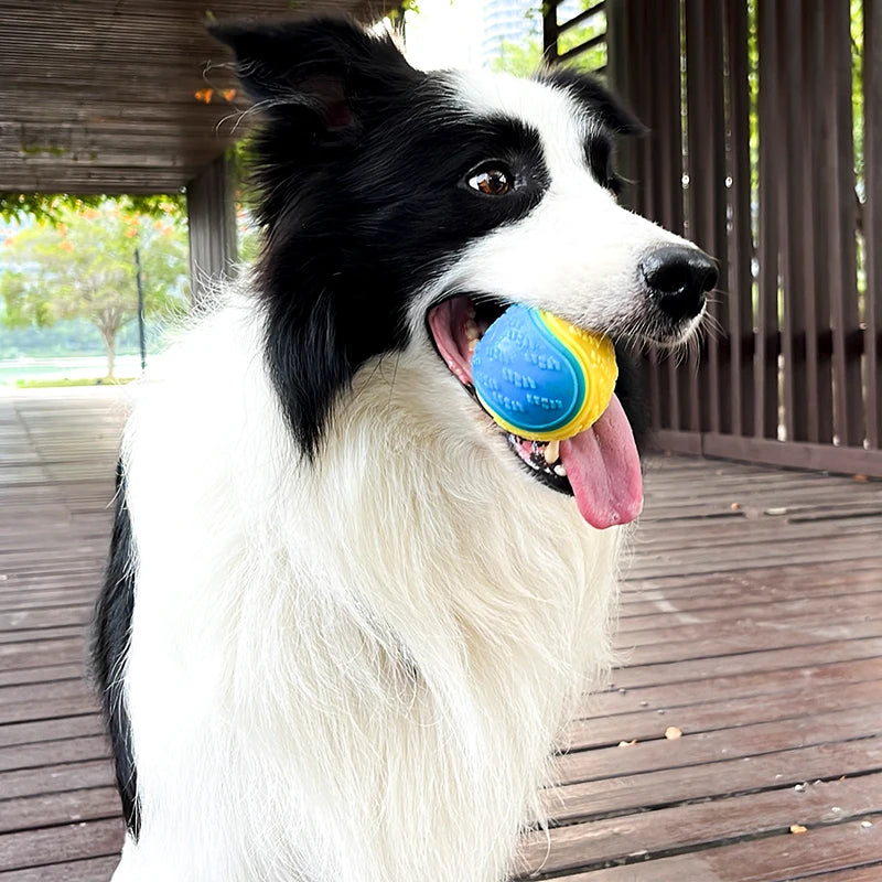 Dog Chew Ball Toy Drinding Teeth Bite-resistant Silicone Ball Puppy Toy Squeaky Teeth Cleaning Training Dog Toy Supplies