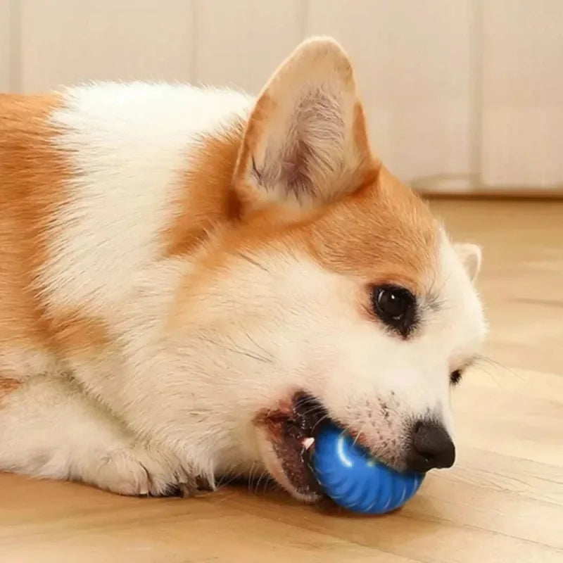 1pcs Dog Toys Intelligent Gravity Jump Ball Rechargeable Bite-Resistant Rolling Ball Cat And Dog Chase Interactive Pet Toys