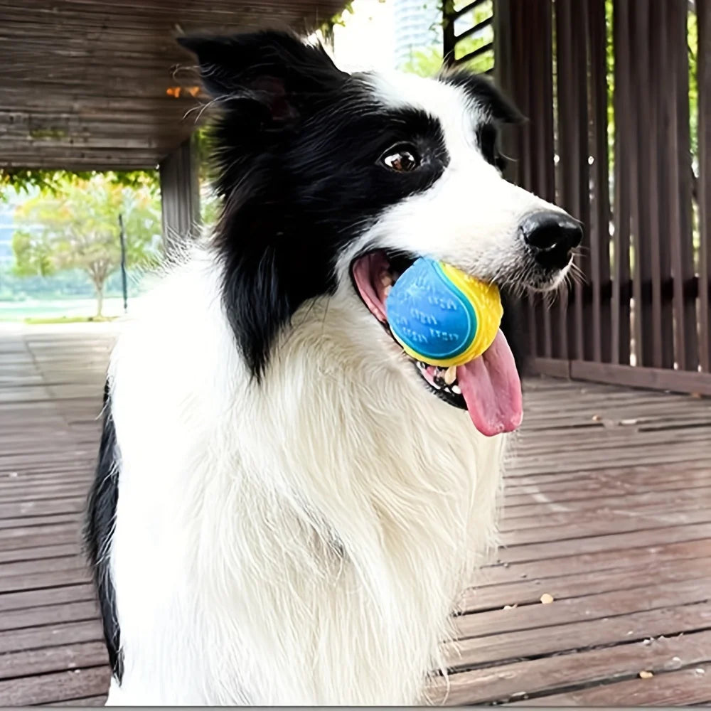 Dog Chew Ball Toy Drinding Teeth Bite-resistant Silicone Ball Puppy Toy Squeaky Teeth Cleaning Training Dog Toy Supplies