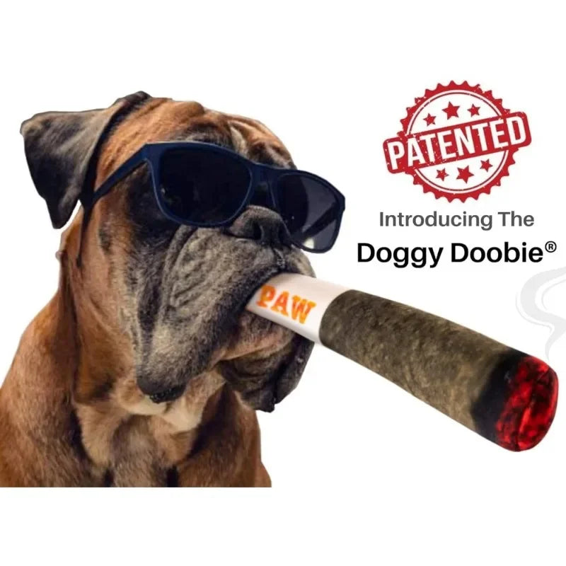 Plush Squeaky Toys for Medium, Small and Large - Cool Stuffed Cute Gifts for Dog Birthday Dog Joint Toys Funny Interactive
