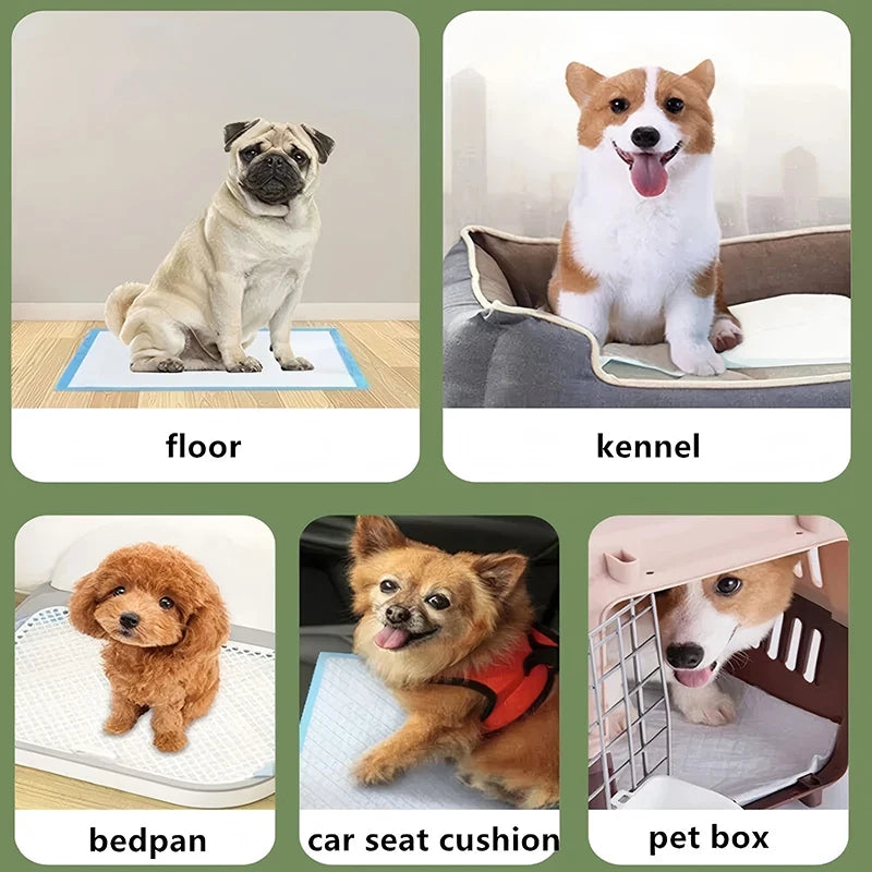 100/50/40/20PCS Pet Diaper Pads Absorbent Odor-Control Quick Dry Puppy Dog Training Pee Mats Pet Supplies Dog Toilet Disposable