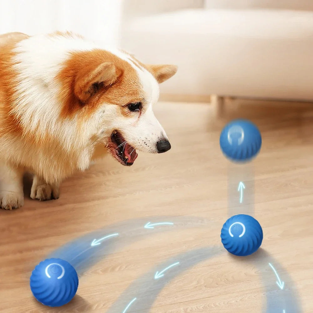 1pcs Dog Toys Intelligent Gravity Jump Ball Rechargeable Bite-Resistant Rolling Ball Cat And Dog Chase Interactive Pet Toys