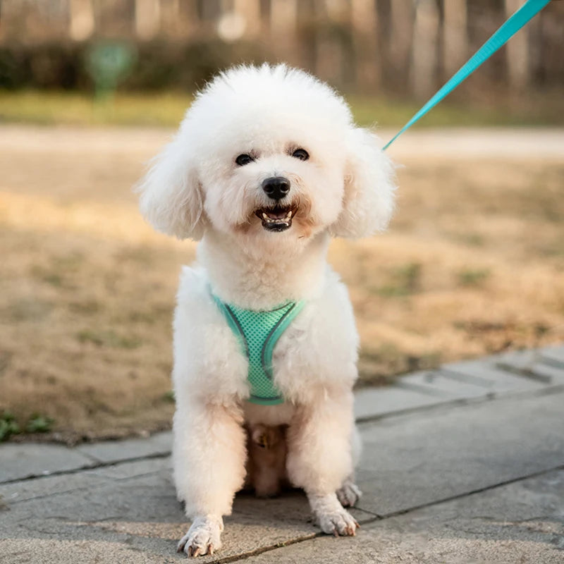 Cat Dog Harness Vest Chest Rope Set Reflective Breathable Adjustable Pet Harness for Small Medium Dogs Outdoor Walking