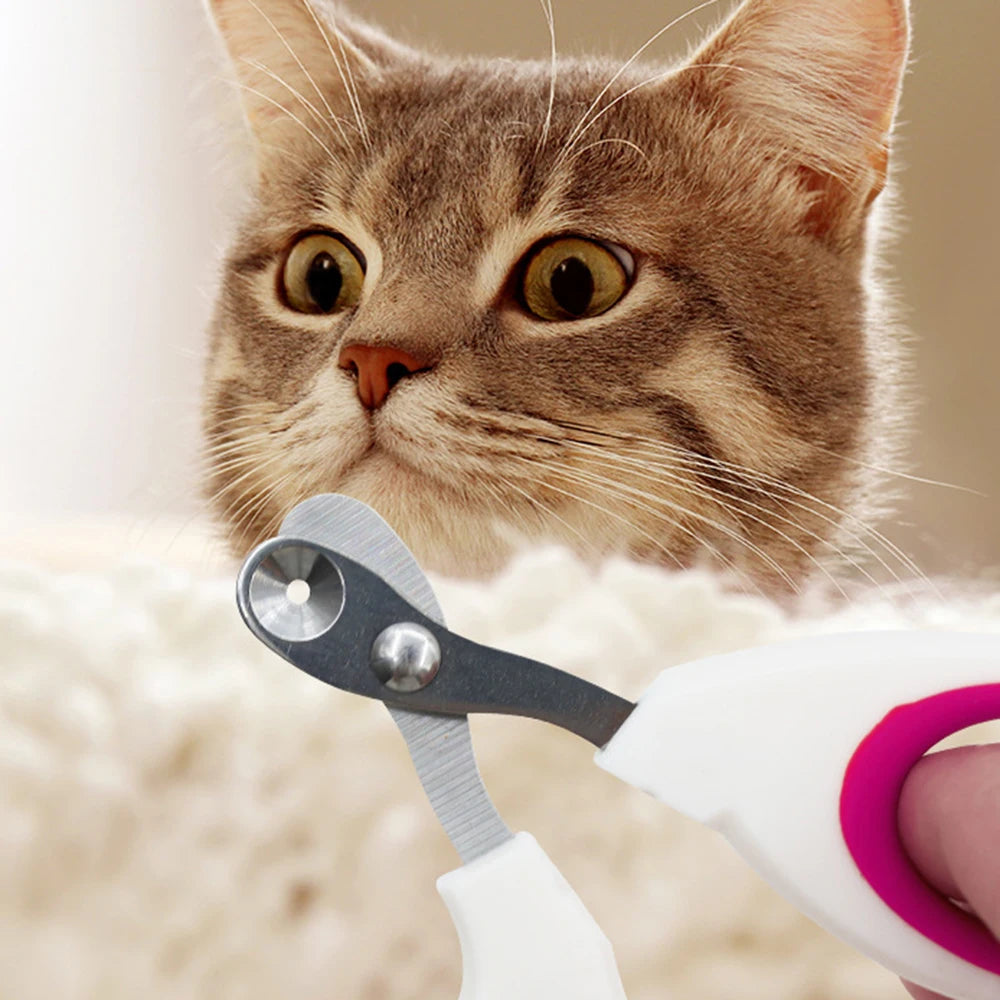 pet stainless steel nail clipper dog and cat small animal nail clippers for cats