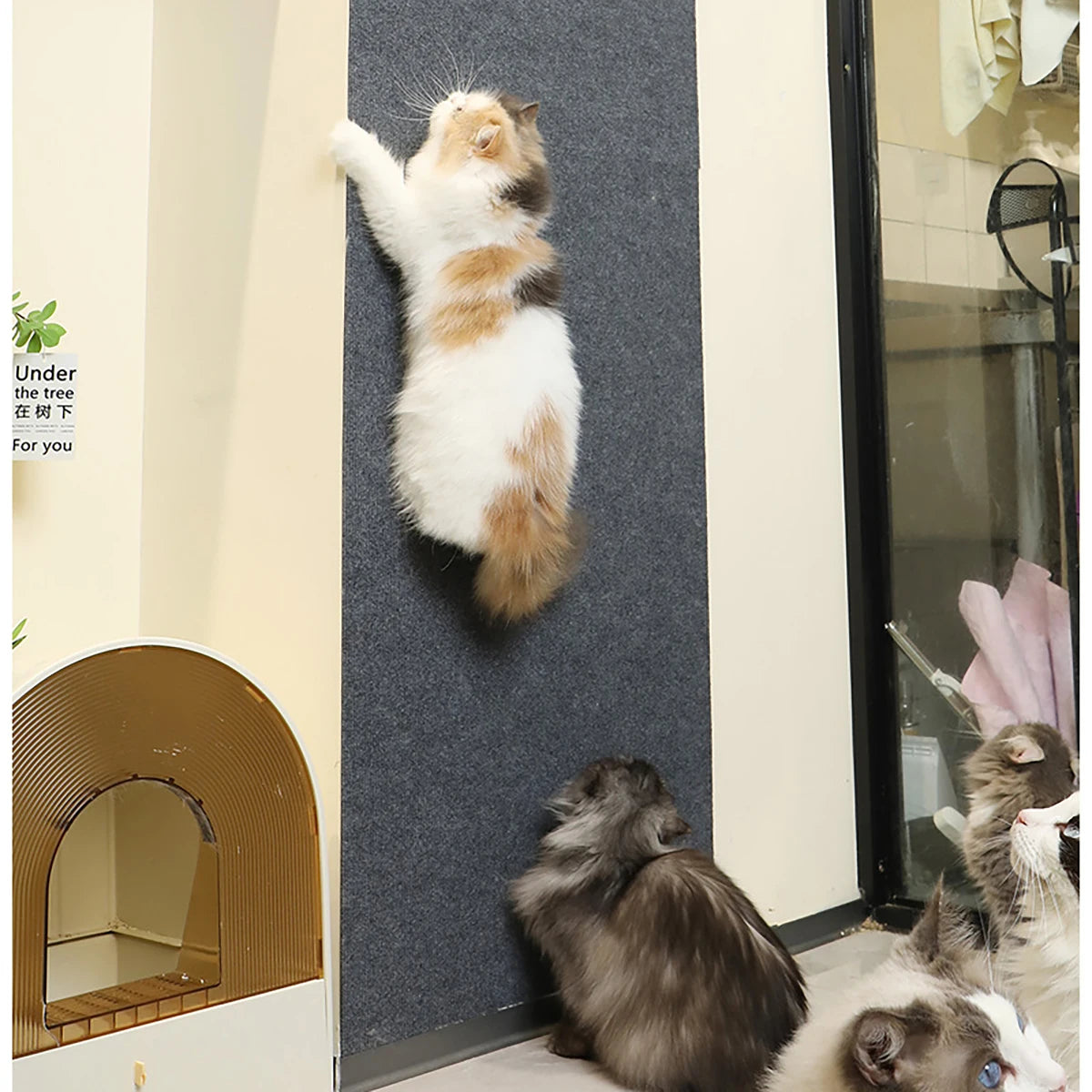 Anti Cat Scratch Sofa Cat Crawling Mat Sofa Protection Grinding Climbing Frame Self-adhesive Carpet Cats Scratch Board Cat Toys