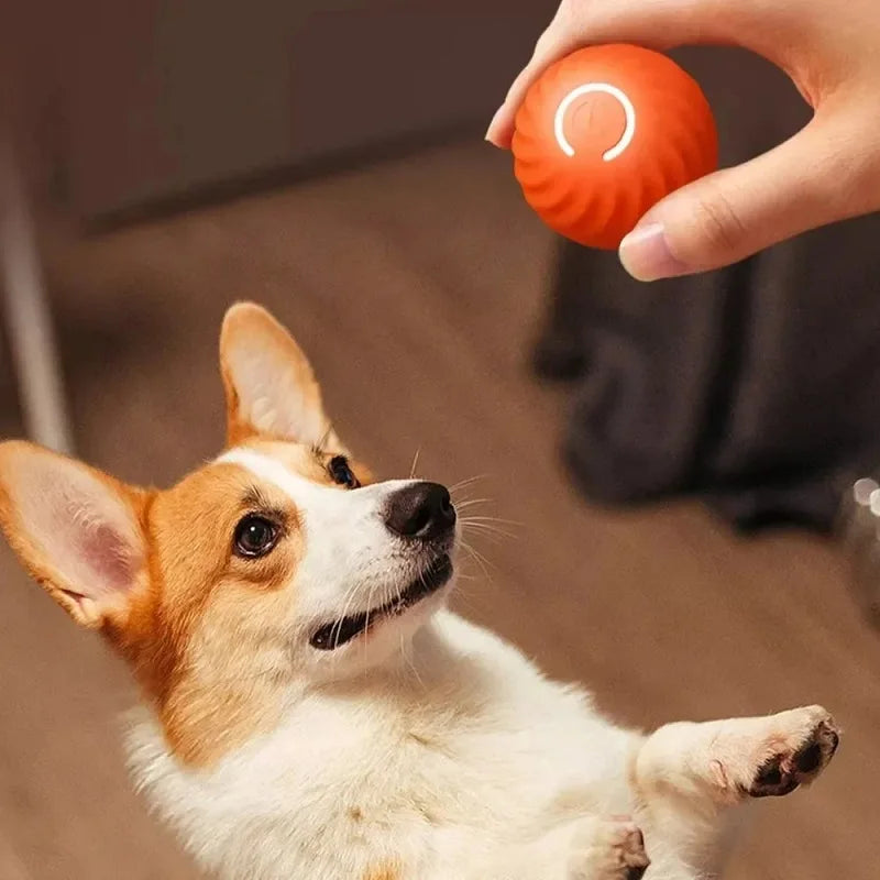 1pcs Dog Toys Intelligent Gravity Jump Ball Rechargeable Bite-Resistant Rolling Ball Cat And Dog Chase Interactive Pet Toys