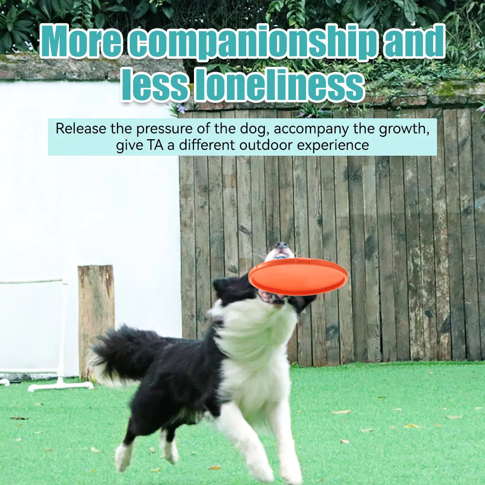 Silicone Flying Saucer Funny Dog Cat Toy Dog Game Flying Discs Resistant Chew Puppy Training Interactive Pet Supplies