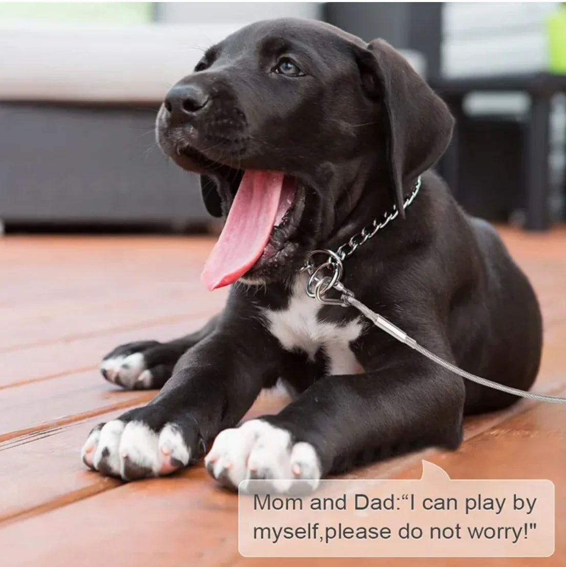 Double-headed Dog Tie Out Cable Leash ,raction rope with metal buckle steel wire anti-rust training collar,Outdoor Dogs Strap