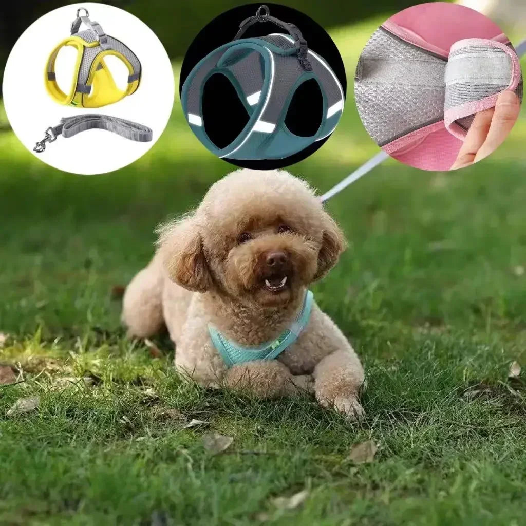 Cat Dog Harness Vest Chest Rope Set Reflective Breathable Adjustable Pet Harness for Small Medium Dogs Outdoor Walking