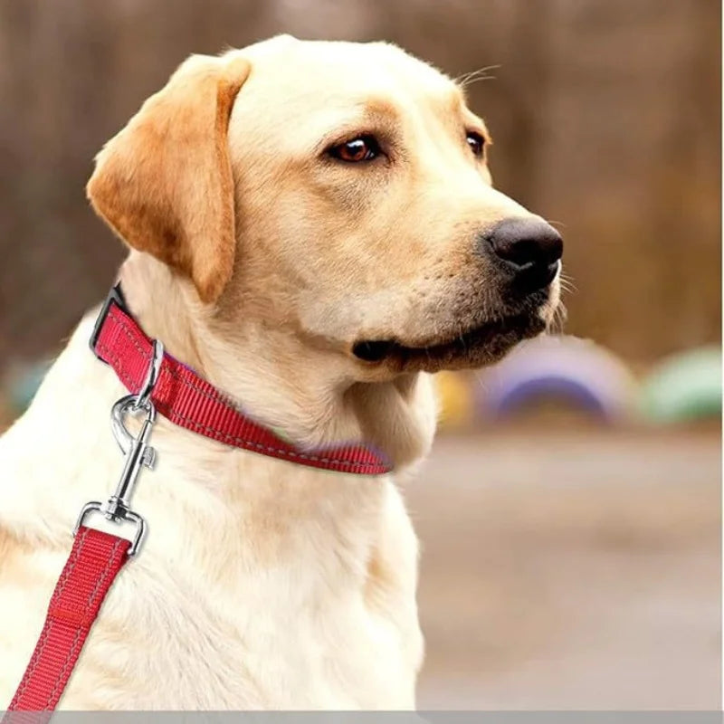 Reflective Pet Collar Adjustable Nylon Collar For Dogs Cats Anti Slip Anti Choke Pet Walking Collar Durable Pet Accessories