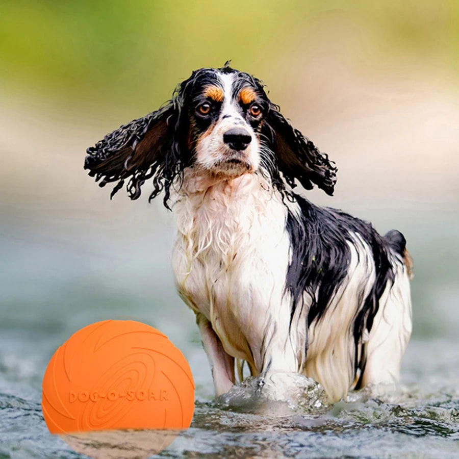Silicone Flying Saucer Funny Dog Cat Toy Dog Game Flying Discs Resistant Chew Puppy Training Interactive Pet Supplies