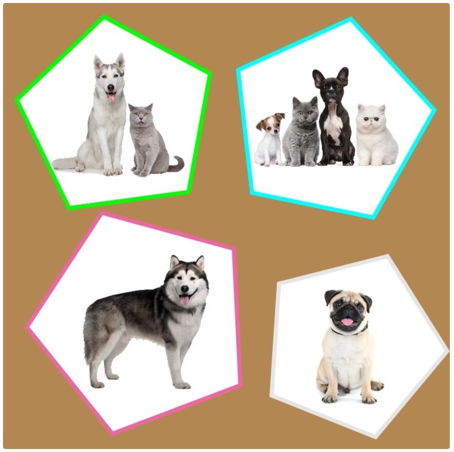 Pet Grooming Ear Muffs - Noise Reduction & Water Proof Ear Covers for Dogs & Cats