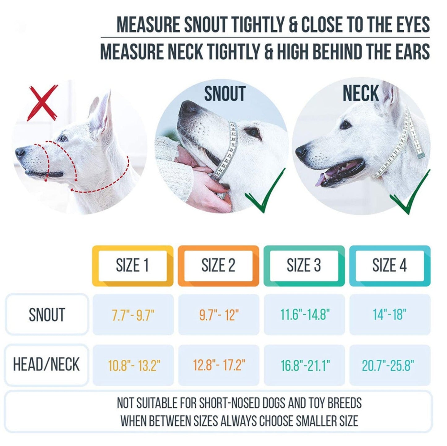 Reflective Dog Headcollar & Harness - No-Pull Training Collar for Small to Large Dogs