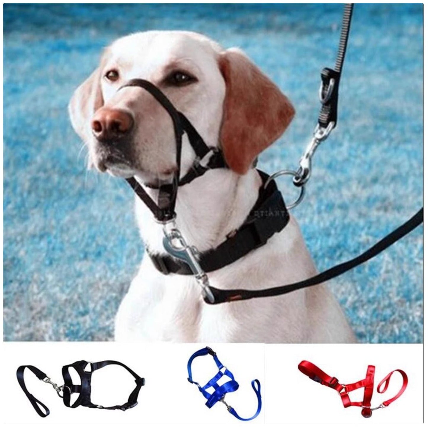 Dog Nose Loop Headcollar - No-Pull Training Leash & Halter for Walking & Obedience