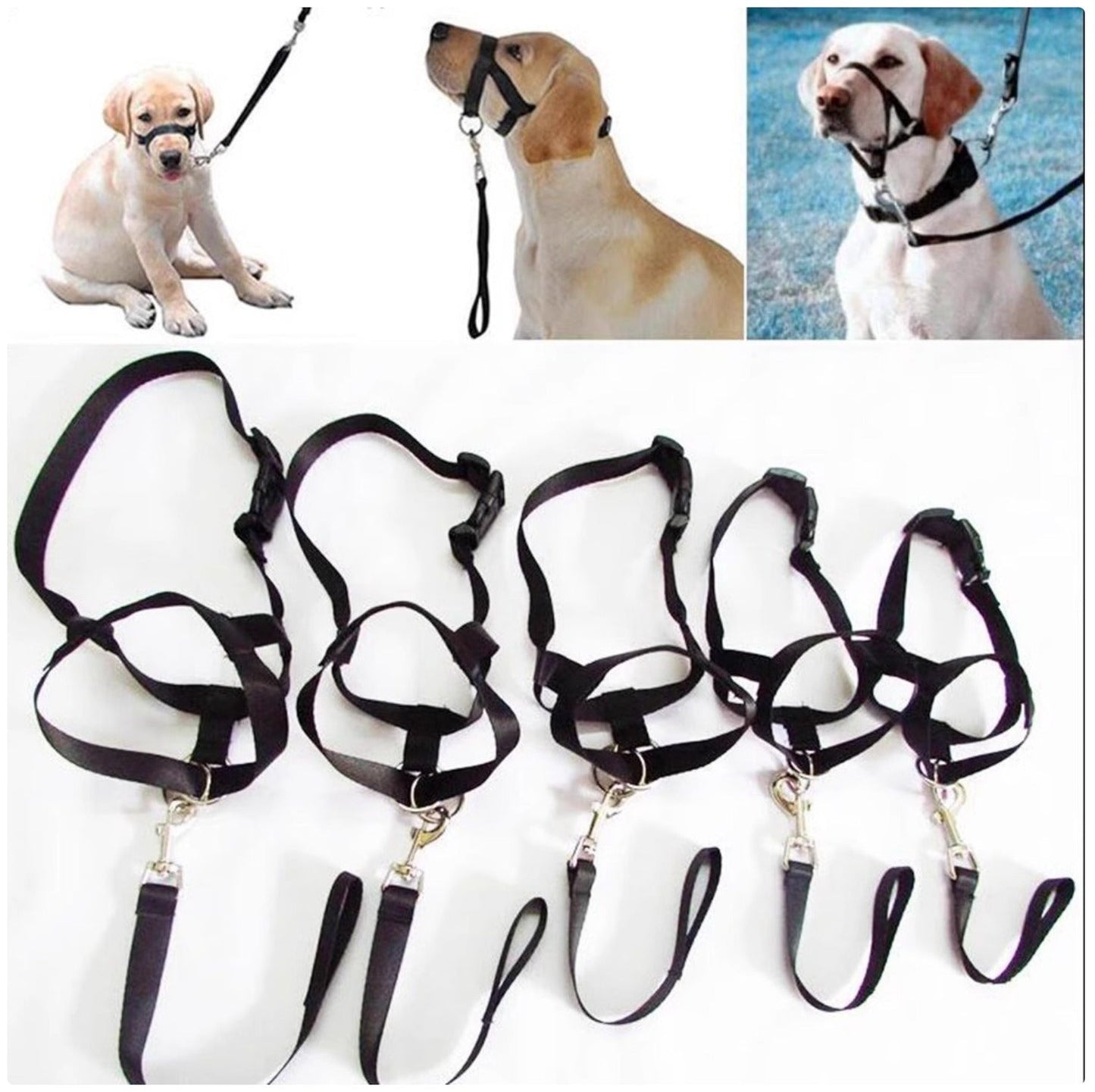 Dog Nose Loop Headcollar - No-Pull Training Leash & Halter for Walking & Obedience