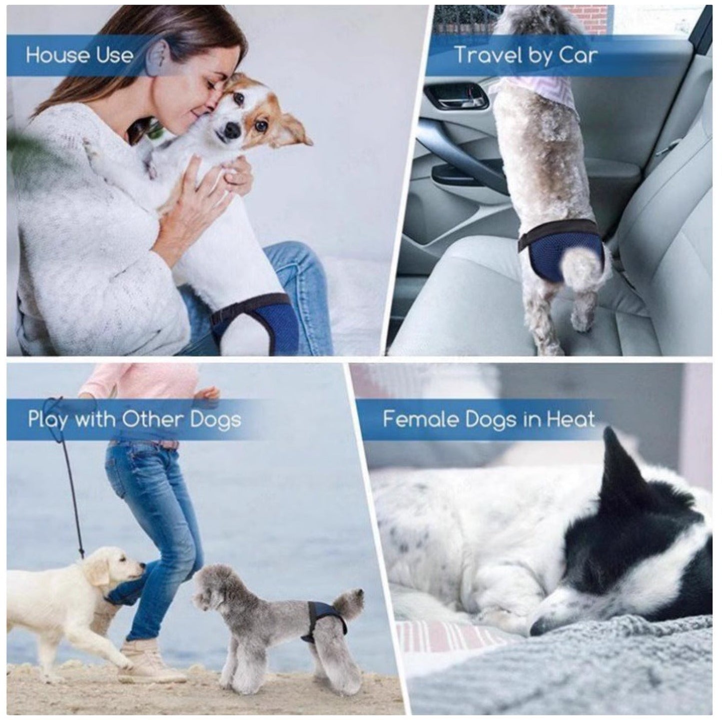 Breathable Female Dog Period Pants - Reusable Sanitary Underwear with Disposable Pads