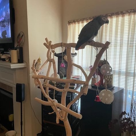 Bird Perch Stand