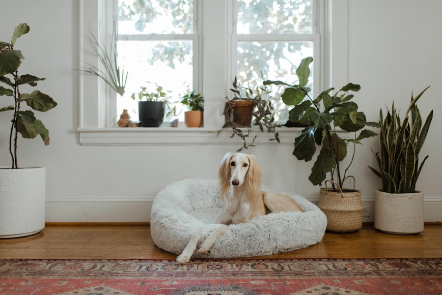 Treats in your inbox