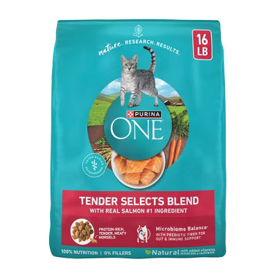 Salmon Dry Cat Food